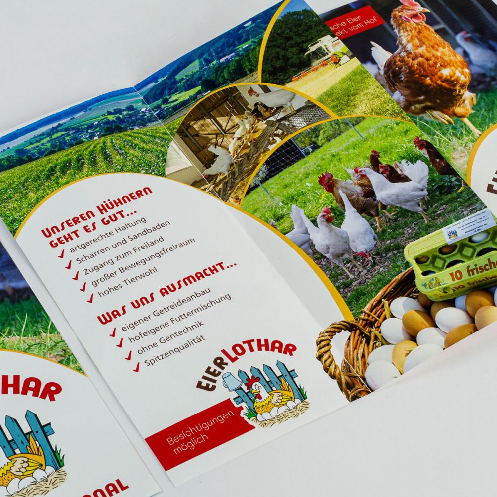 Inhalt vom EierLothar Flyer