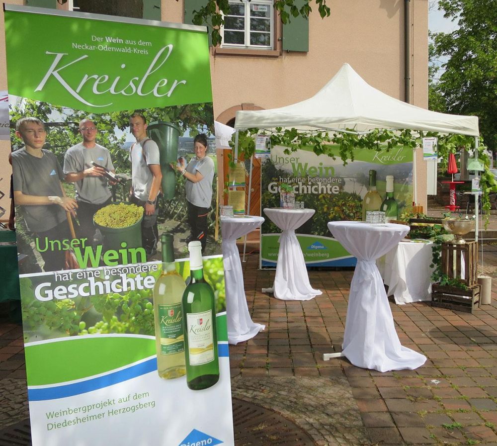 Messestand mit Roll-Ups und Rückwand