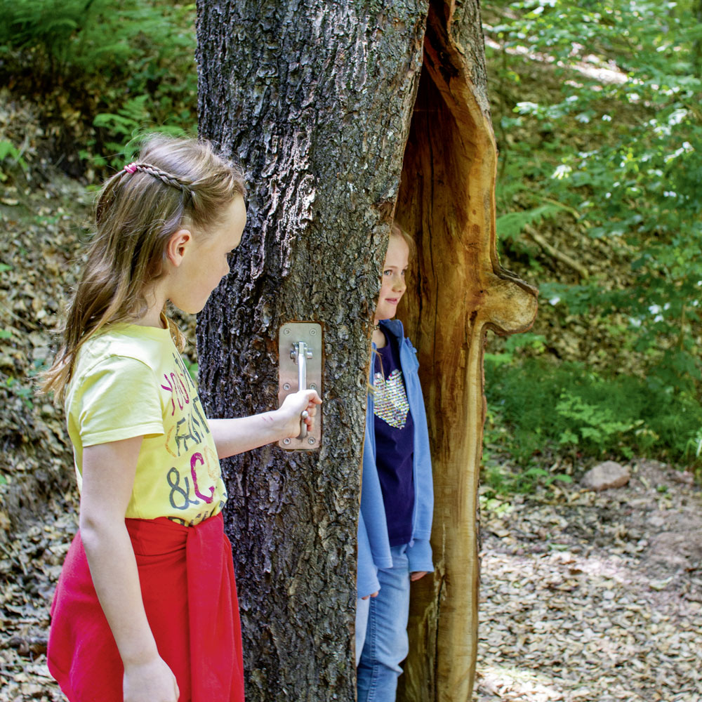 Hohler Baum in den man reinstehen kann