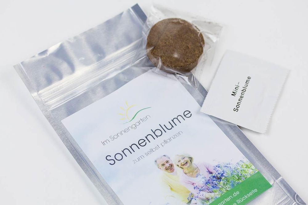 Sonnenblumensetzling