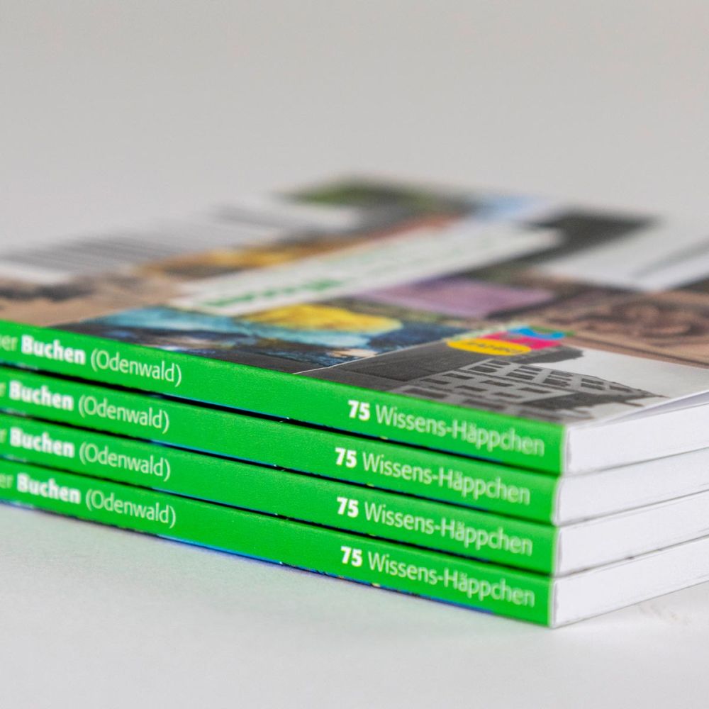 Unnützes Wissen über Buchen aufeinander gestapelt