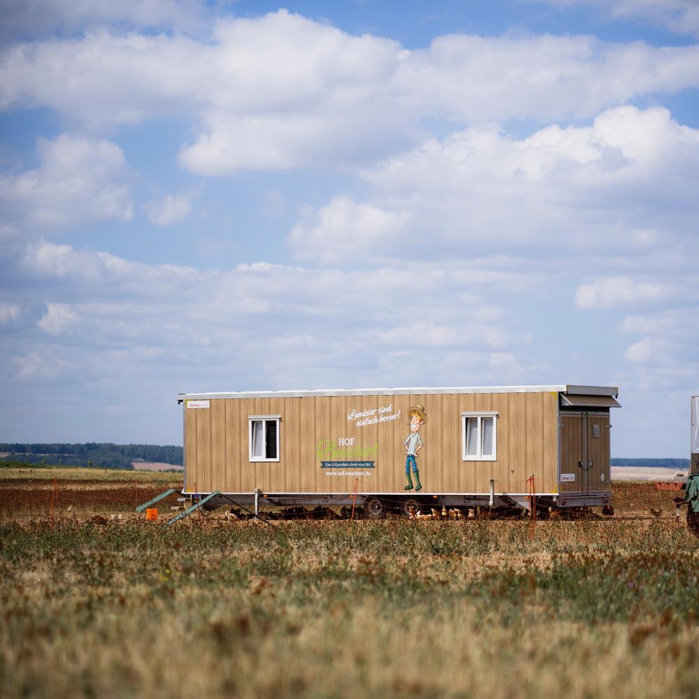 Hühnermobil am Weidenbaum