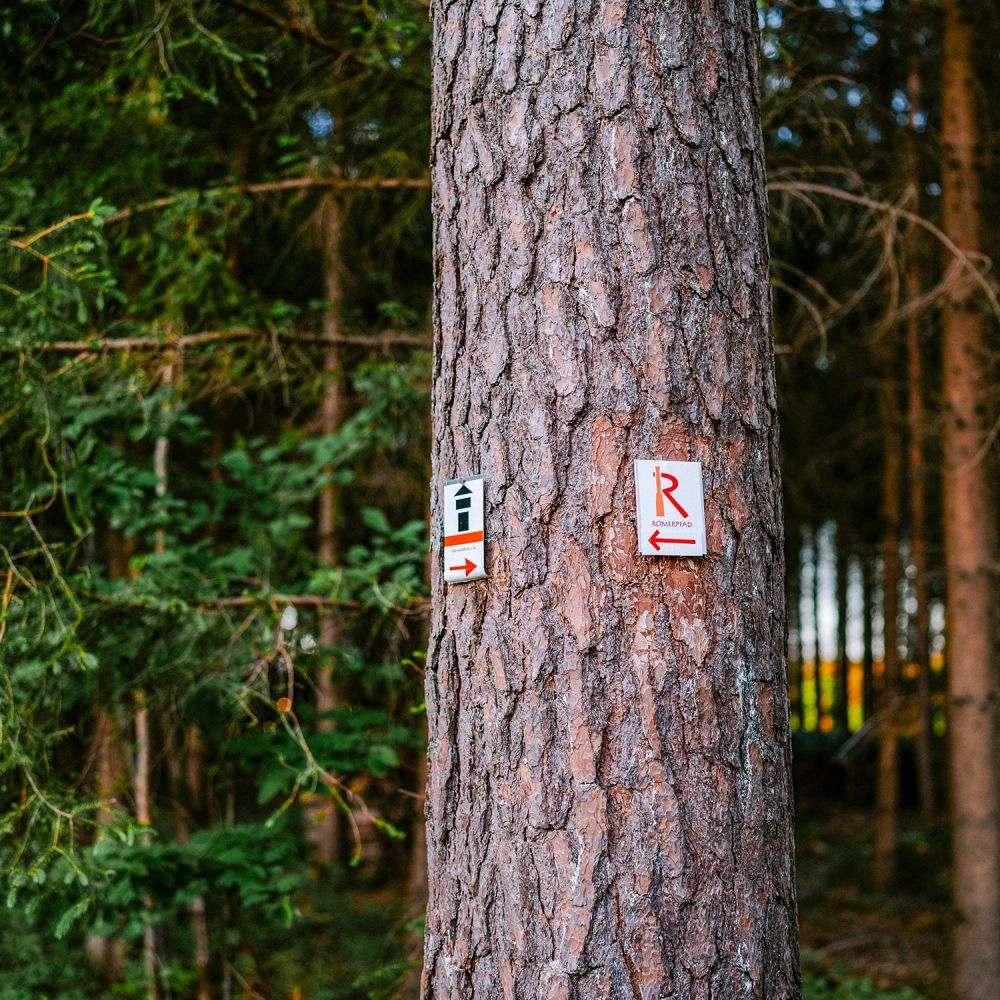 Römerpfad Markierung