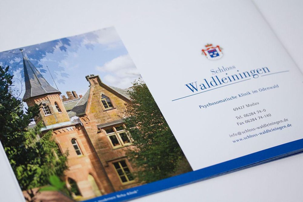 Rückseite Chronik Schloss Waldleiningen