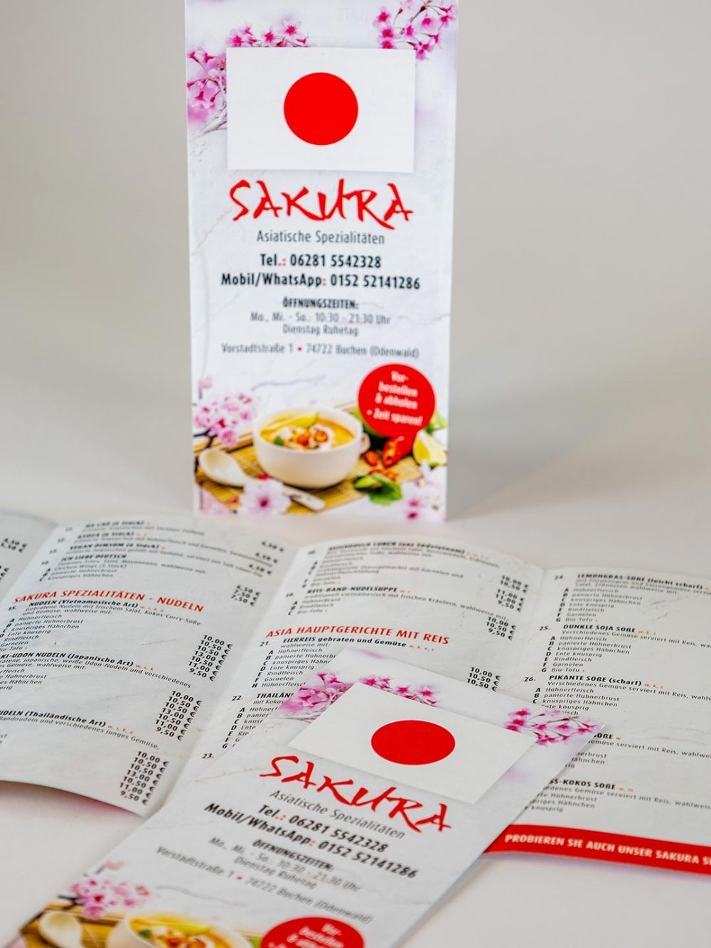 Flyer Asia Sakura Buchen
