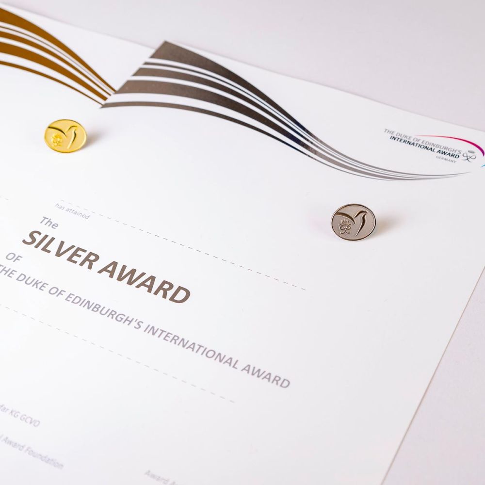 Bronzene und Silberne Urkunde und Pin