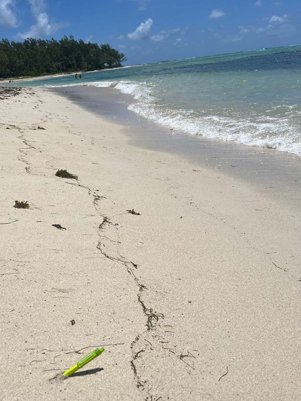 SchreiberGrimm Kulli unterwegs in Afrika