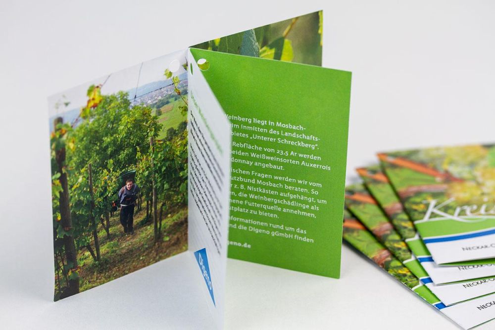 Flyer zum Kreisler Wein