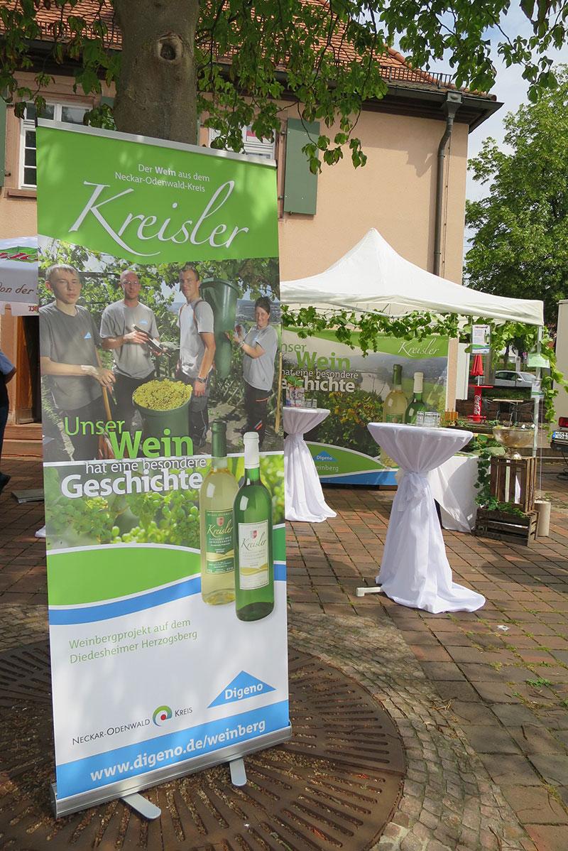 Roll-Ups, Pavillon mit Rückwand und Stehtische