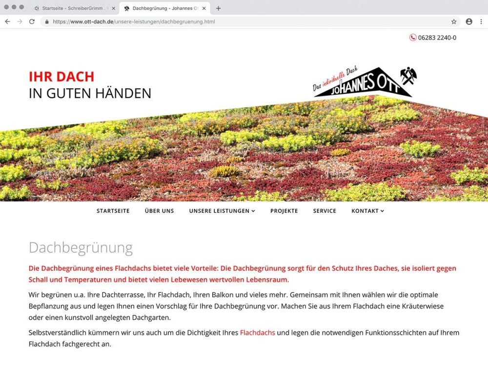 Dachbegrünung Johannes Ott