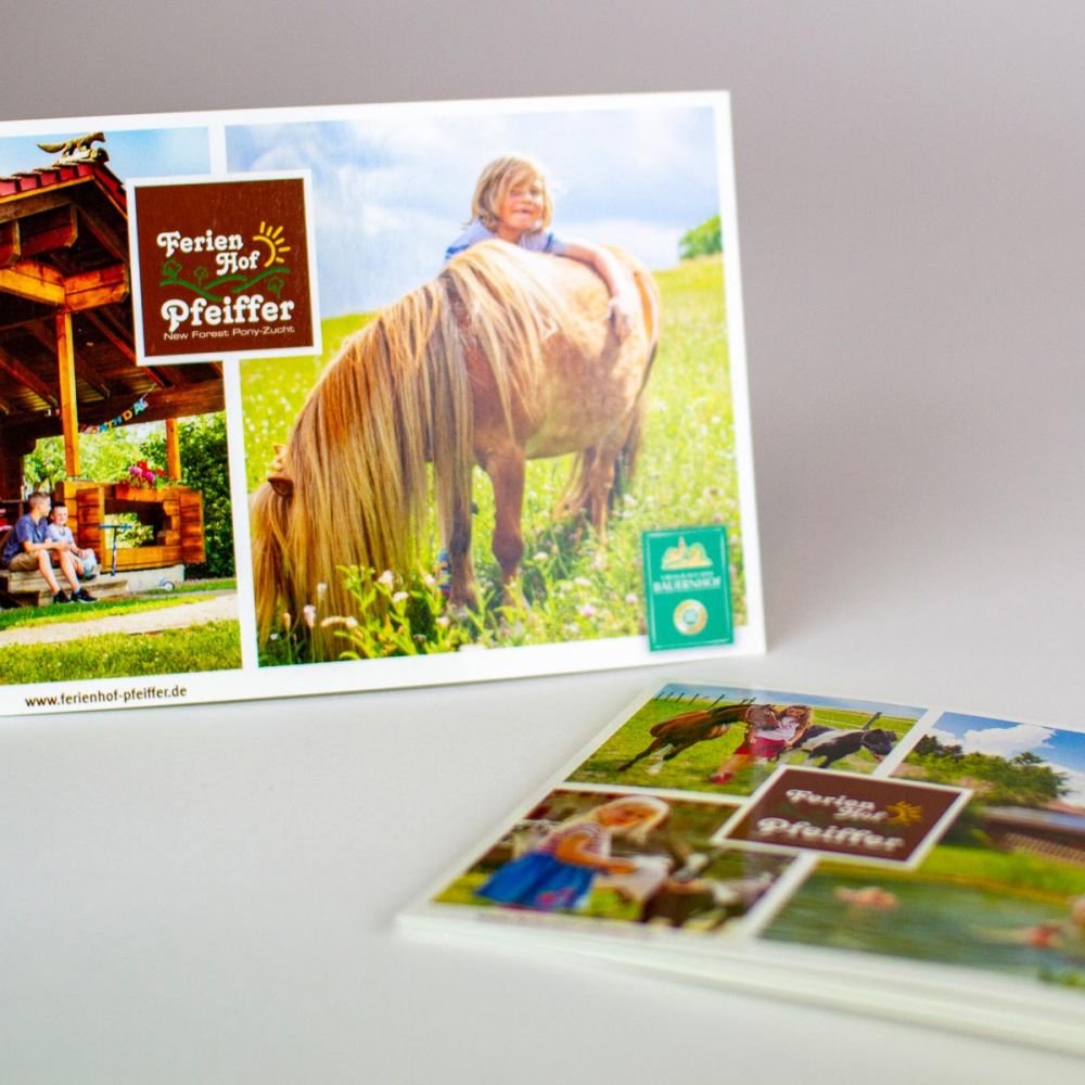 Postkarten mit Pferden und Kindern