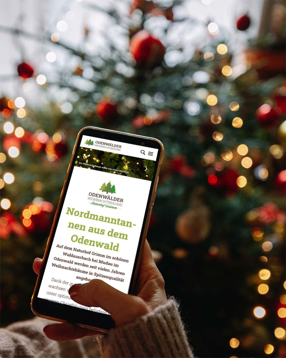 Webseite auf dem Handy vor einem geschmückten Weihnachtsbaum geöffnet