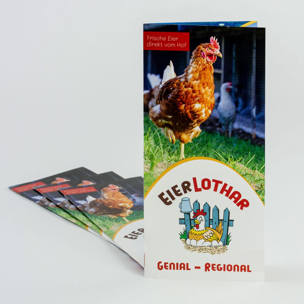 Flyer EierLothar aufgestellt