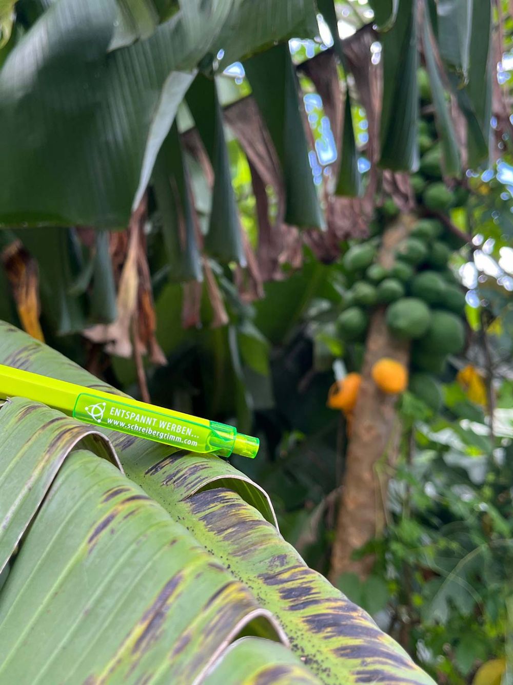 SchreiberGrimm Kulli unterwegs in Afrika