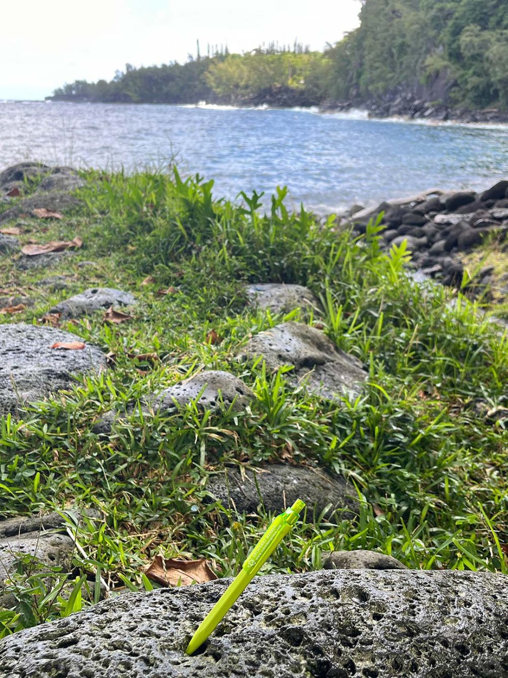 SchreiberGrimm Kulli unterwegs in Afrika