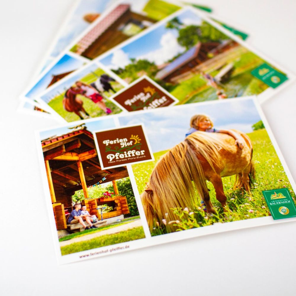Verschiedene Postkarten für den Ferienhof Pfeiffer