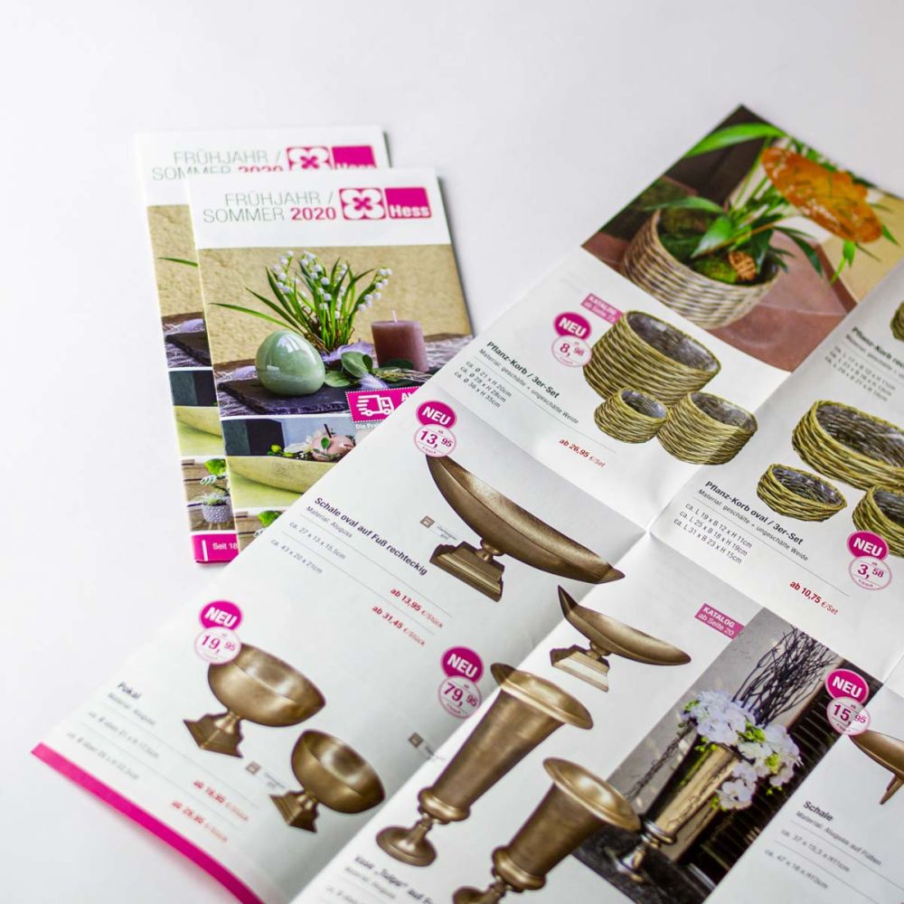 Flyer Frühjahr Sommer