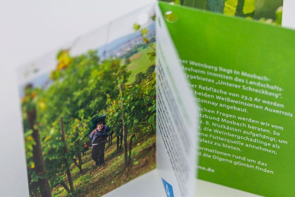 Mehrseitiger Flyer Digeno Kreisler