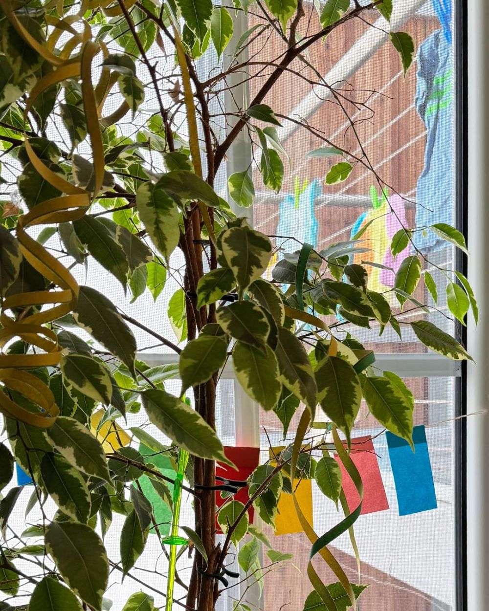 Luftschlangen und Fleckle