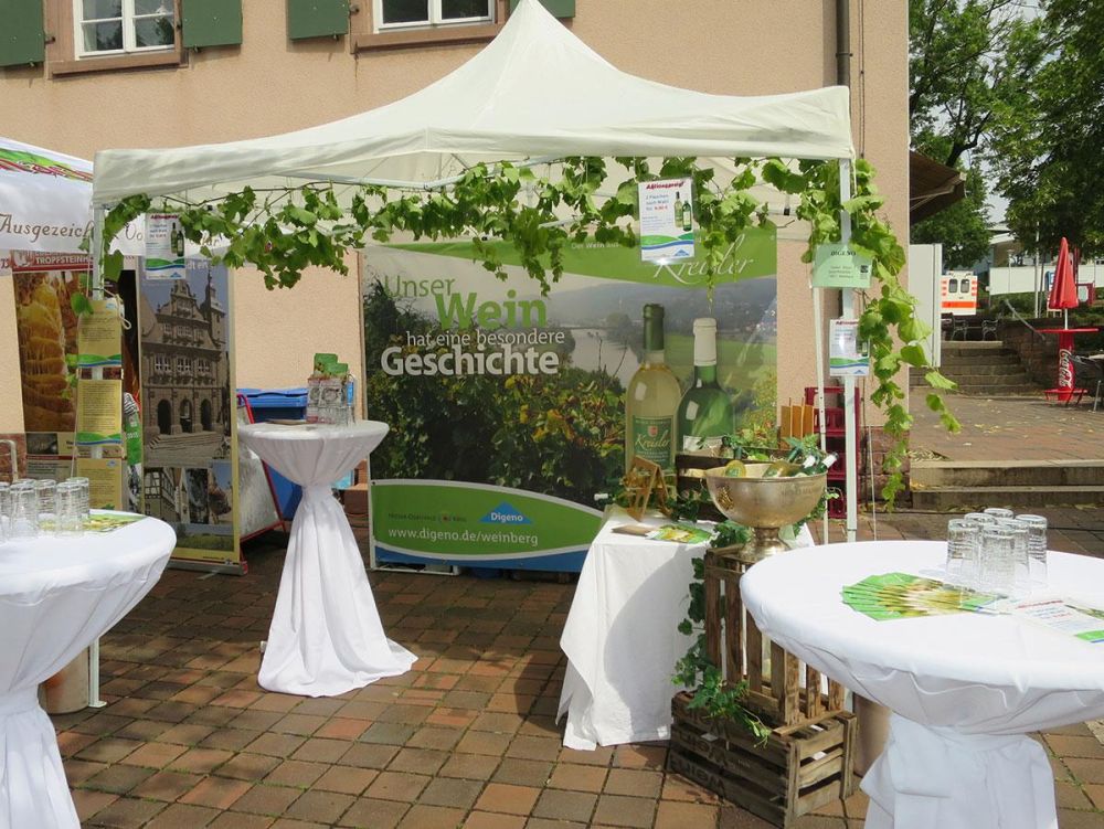 Pavillon mit Rückwand zum Kreisler