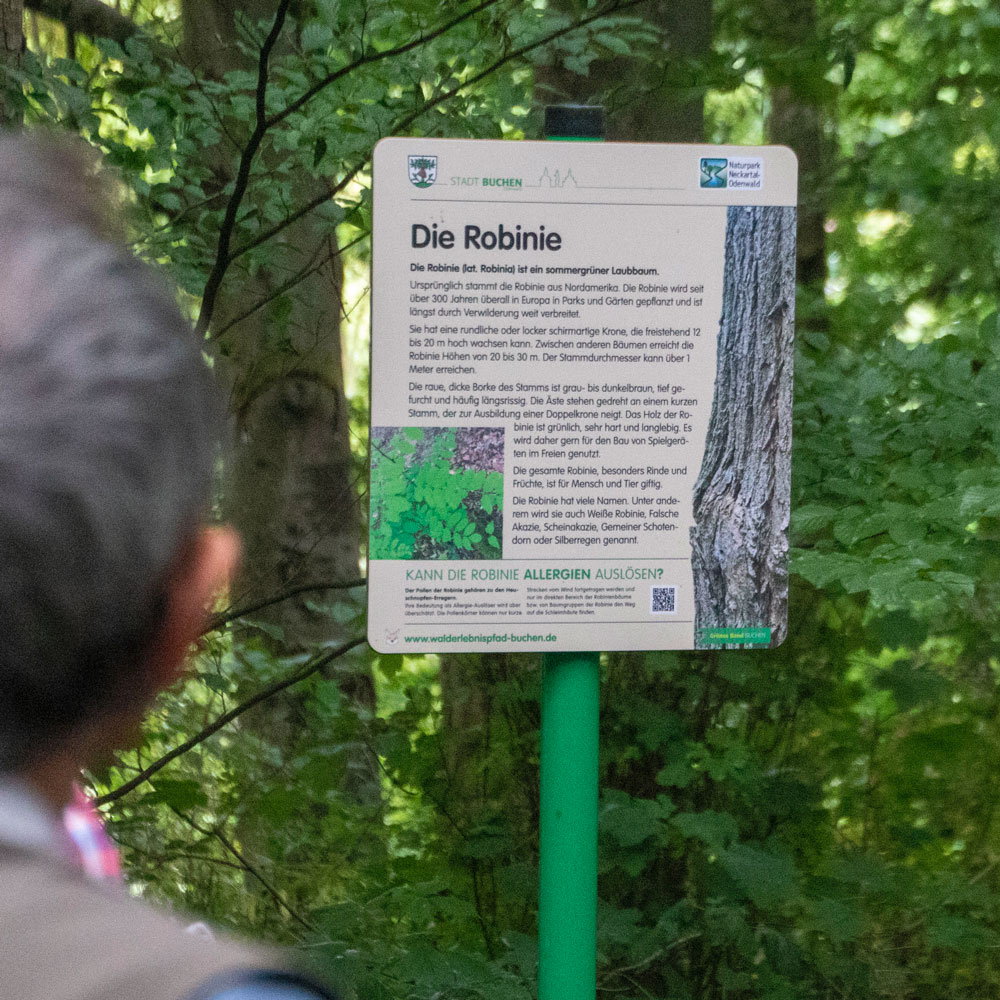 Infotafeln am Walderlebnispfad