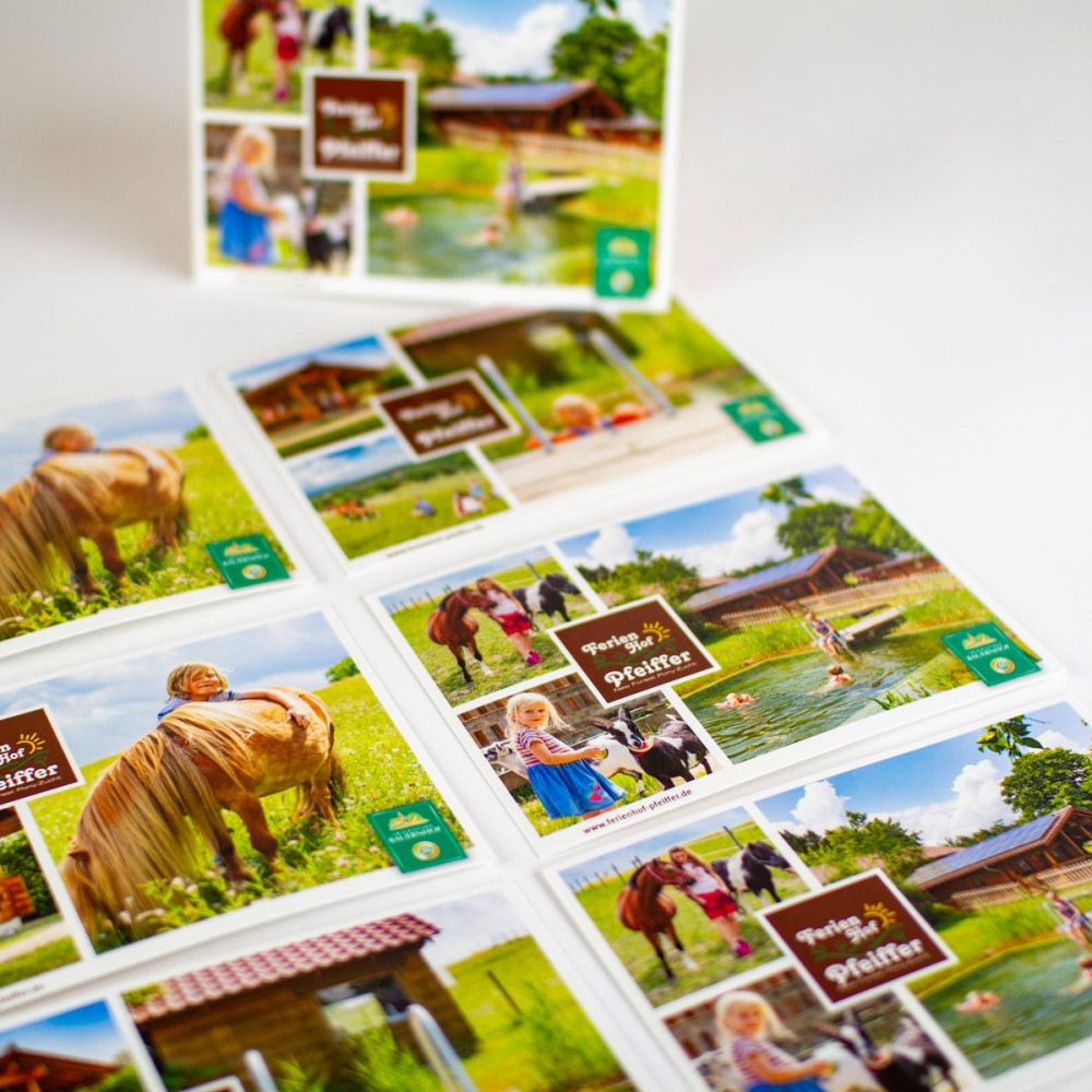 Postkarten Ferienhof Pfeiffer