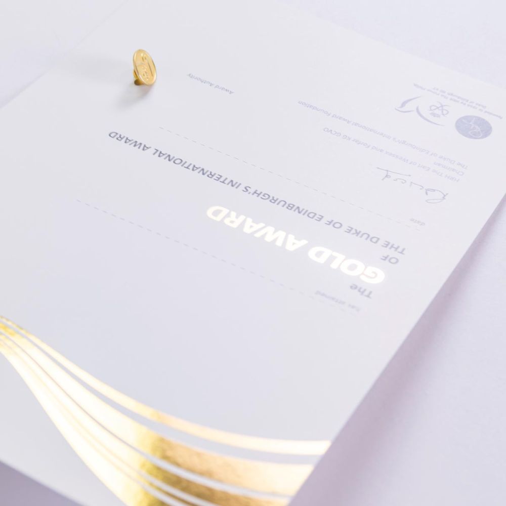 Goldene Urkunde und Pin