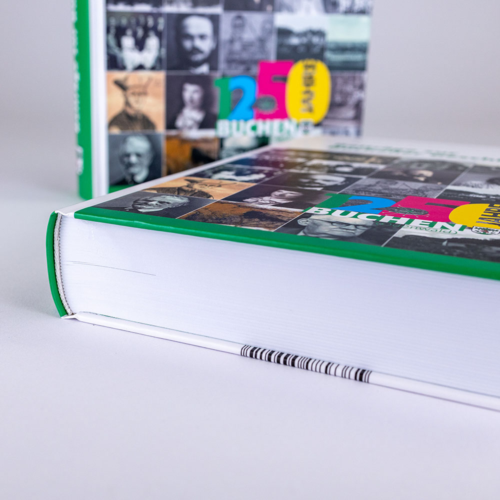 Dickes Buch Beiträge zur Buchener Geschichte 