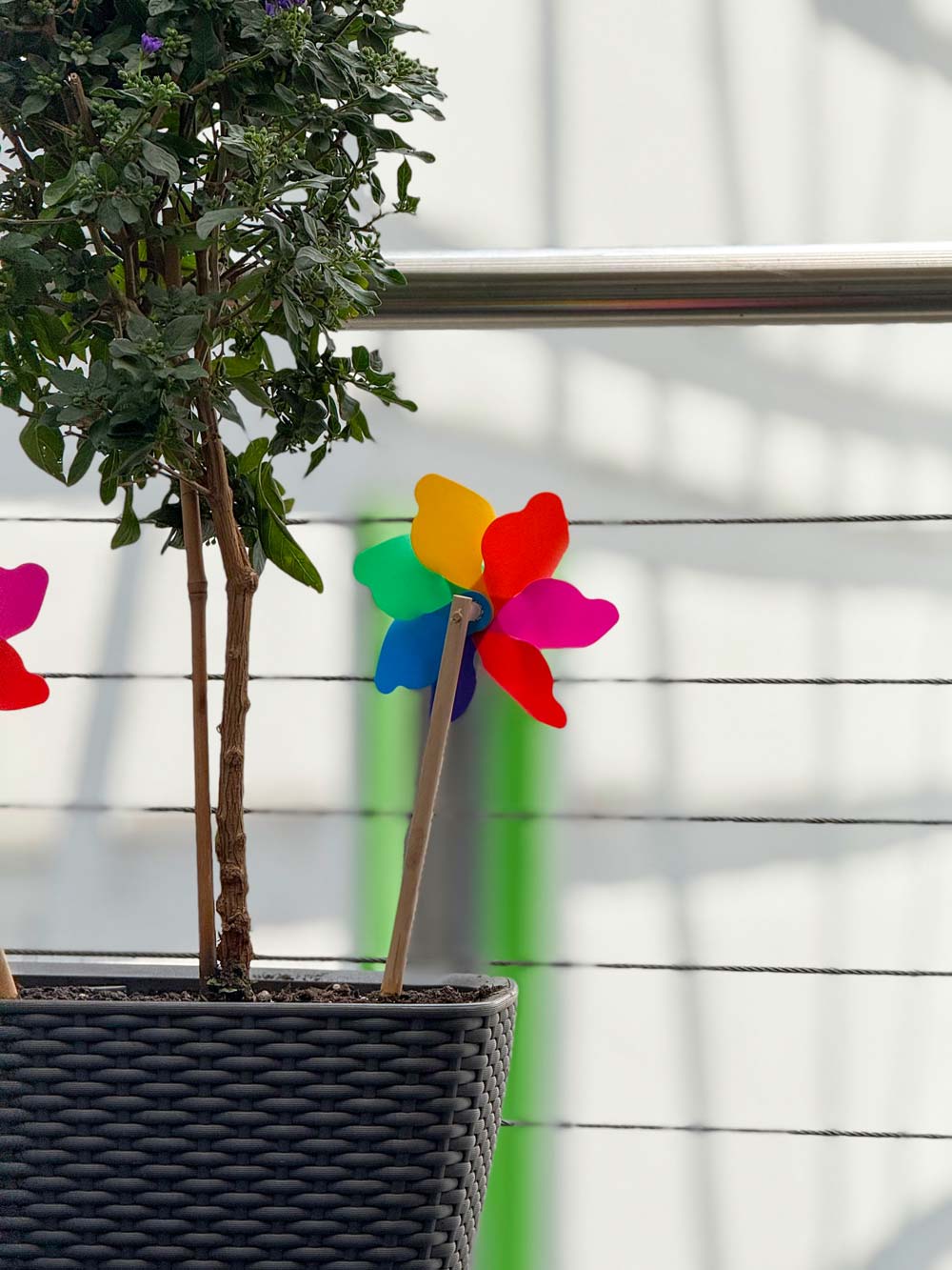 Windrädchen im Pflanzkübel im Außentreppenaufgang